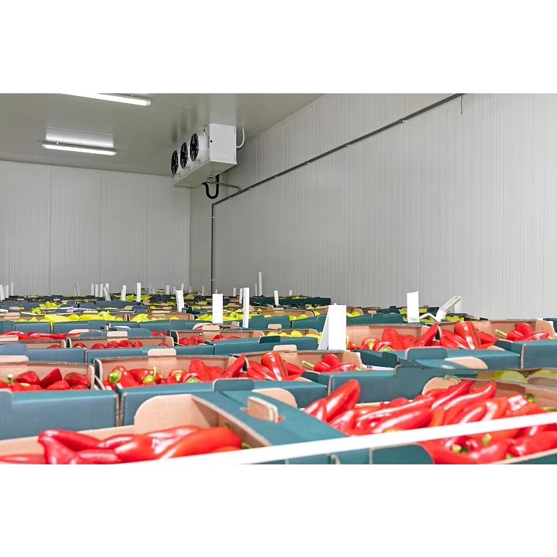 Özelleştirilmiş Soğuk Oda Sıca - Food Storage Keep Hot incelemesi ve fiyatı