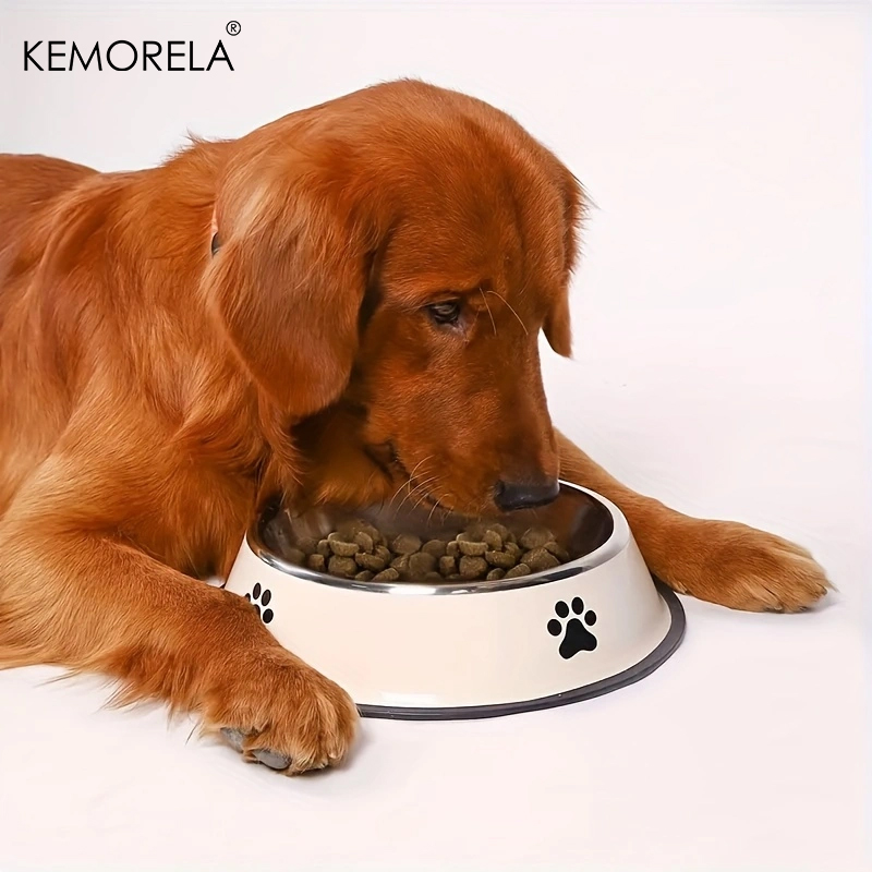 Paslanmaz çelik Pet köpek kase - Dog Food Storage Xl incelemesi ve fiyatı